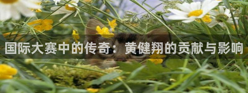 世界杯亚洲预选赛18强赛程：国际大赛中的传奇：黄健翔的贡献与影响