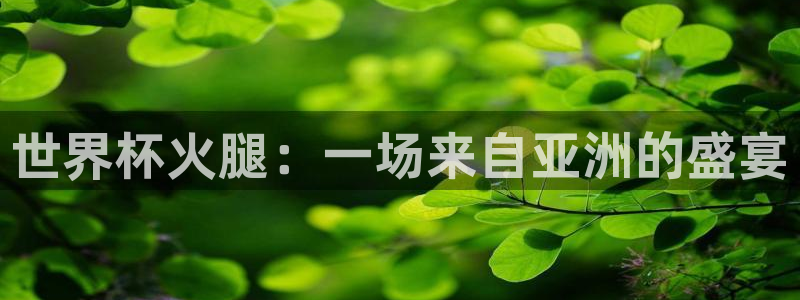 世界杯足球比赛：世界杯火腿：一场来自亚洲的盛宴