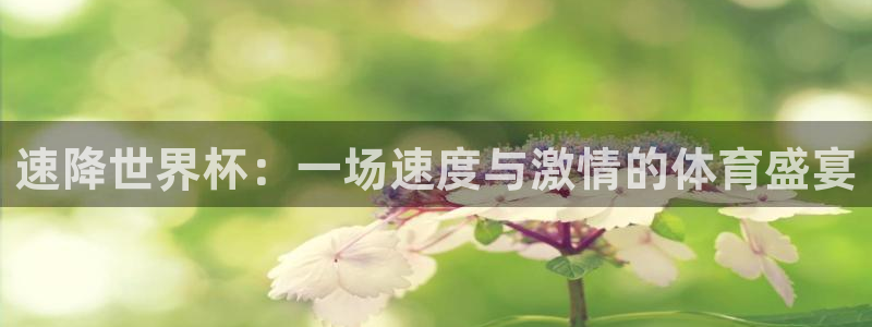 世界杯转播表：速降世界杯：一场速度与激情的体育盛宴