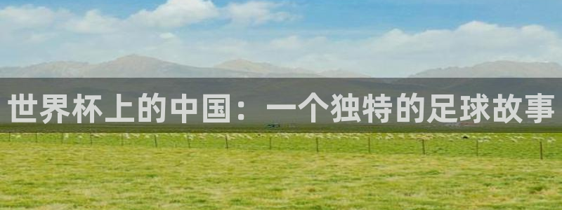 2026年世界杯：世界杯上的中国：一个独特的足球故事