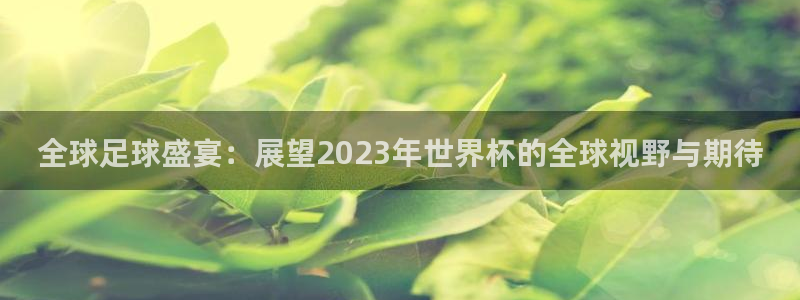 世界杯直播免费观看：全球足球盛宴：展望2023年世界杯的全球视野与期待