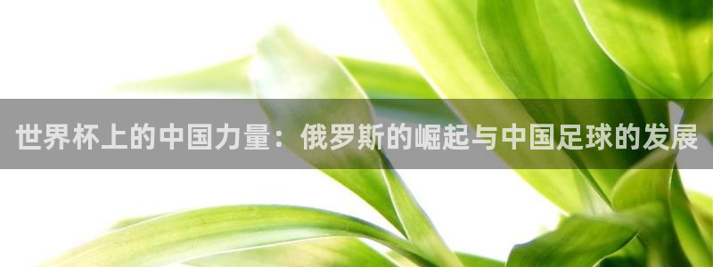 世界杯赛程2026：世界杯上的中国力量：俄罗斯的崛起与中国足球的发展