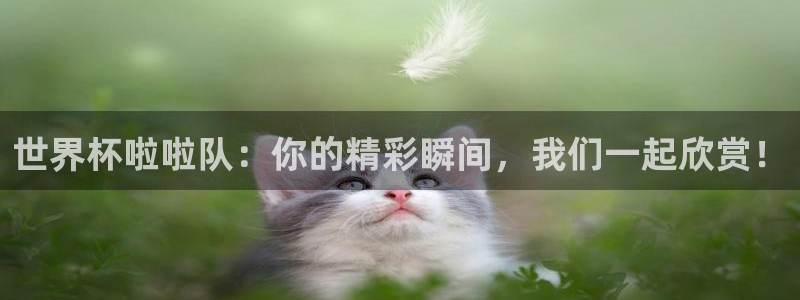 足球比分直播世界杯：世界杯啦啦队：你的精彩瞬间，我们一起欣赏！