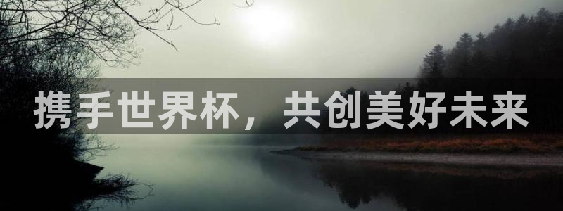 世界杯比赛：携手世界杯，共创美好未来