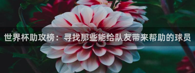 国际足联世界杯：世界杯助攻榜：寻找那些能给队友带来帮助的球员