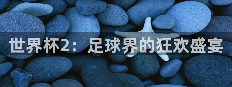 足球世界杯赛程：世界杯2：足球界的狂欢盛宴