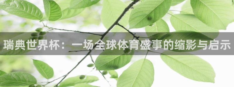 世界杯预选赛规则：瑞典世界杯：一场全球体育盛事的缩影与启示